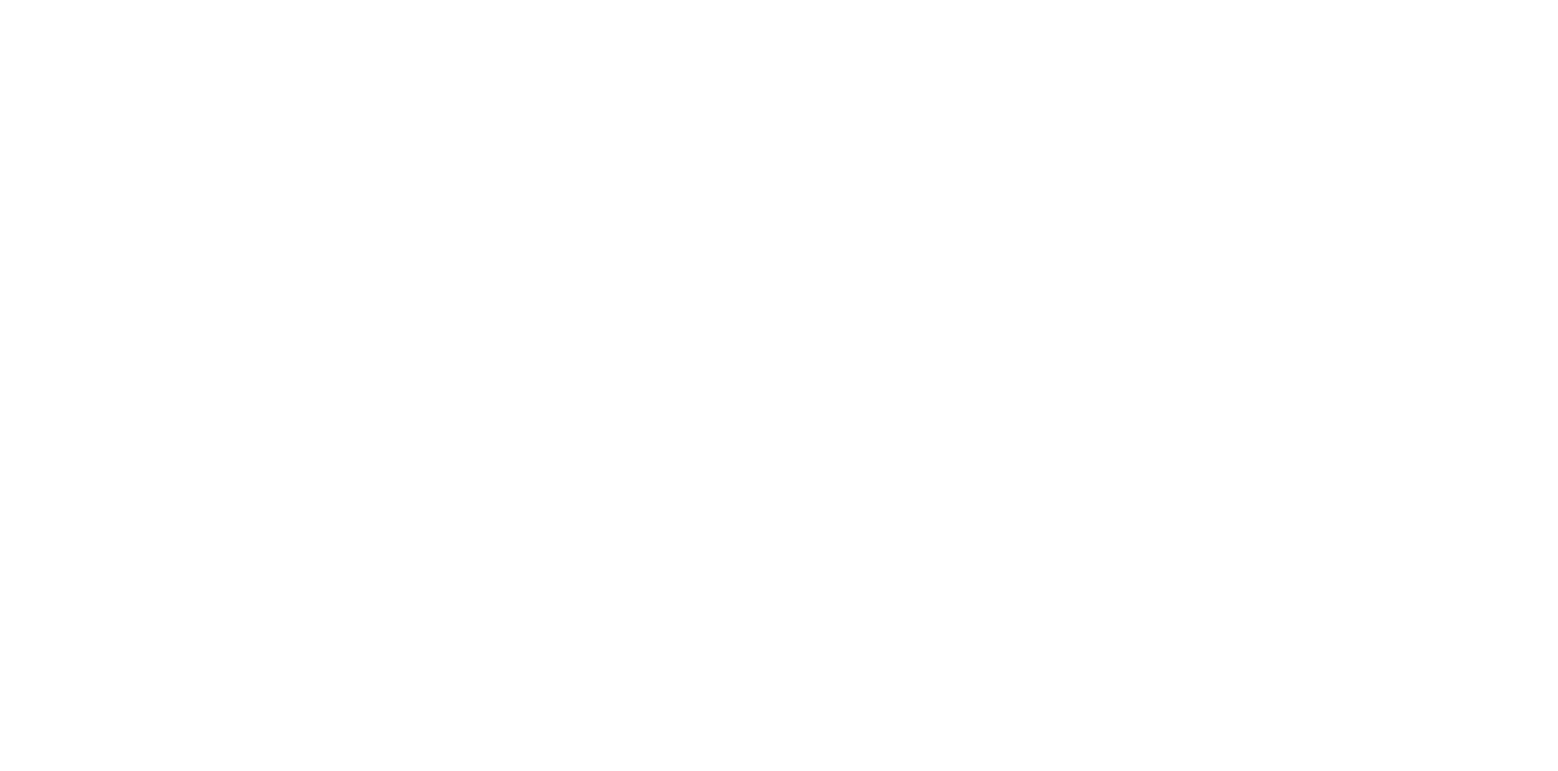DJ Press Play